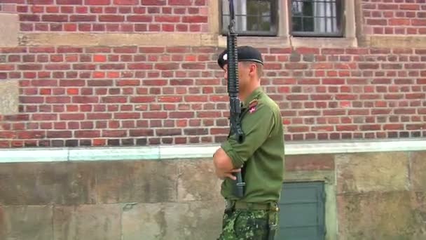 Guard at the Royal castle — Stock Video