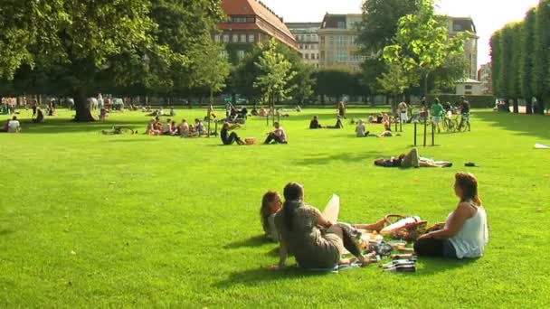 La gente descansa sobre hierba verde — Vídeo de stock