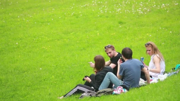 Los turistas se relajan en el parque — Vídeo de stock