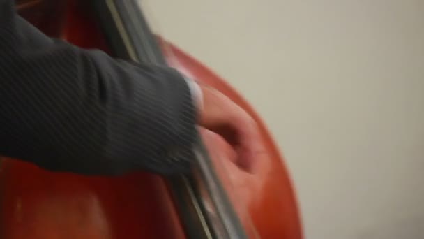 Man with contrabass — Stock Video