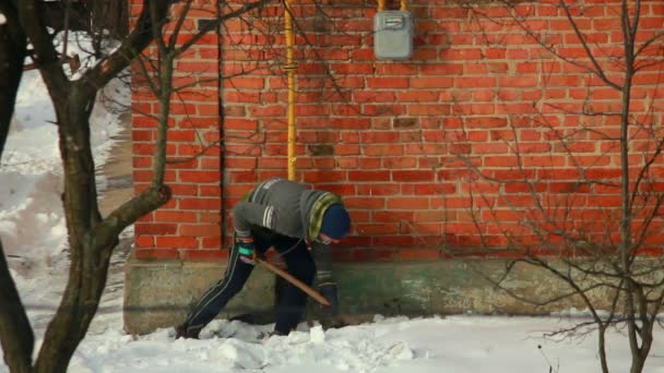 Man with shovel — Stock Video