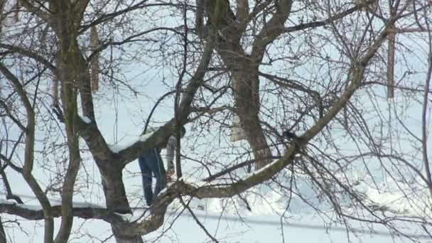 Чоловік з лопатою взимку — стокове відео