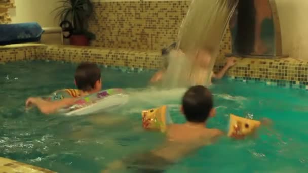 Simning i poolen — Stockvideo