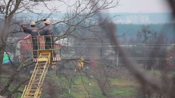 Baumpfleger schneiden Äste ab — Stockvideo