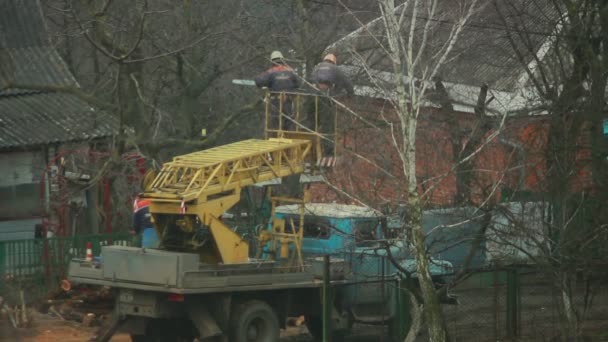 Arboristas cortam ramos — Vídeo de Stock