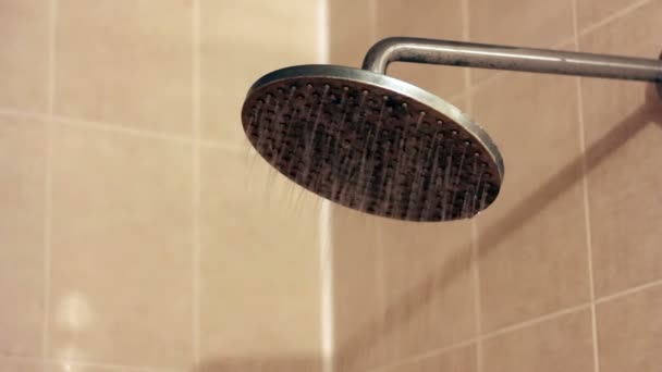 Shower Head — Stock Video