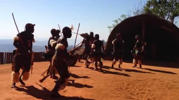 Мужские племенные танцоры — стоковое видео