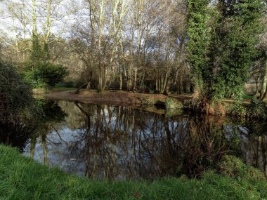 Pedroso değirmeninin yanında akan Xubia nehrinin görüntüsü