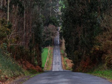 Galiçya manzarasının resmi