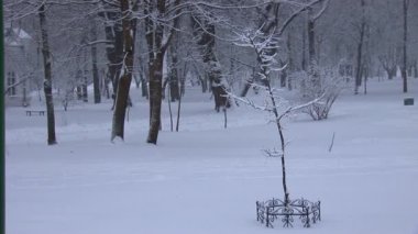 Kış park
