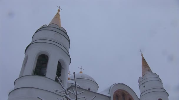 Kirche im Winterpark — Stockvideo