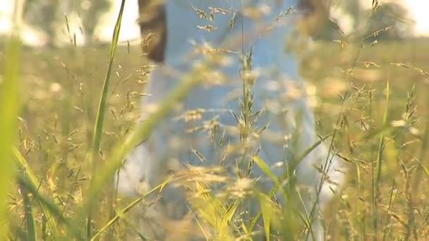 Femme en blanc sur une prairie verte avec des lunettes de soleil — Video