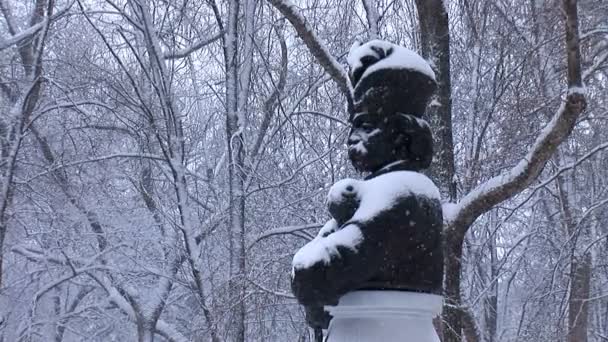 Parque de invierno — Vídeos de Stock