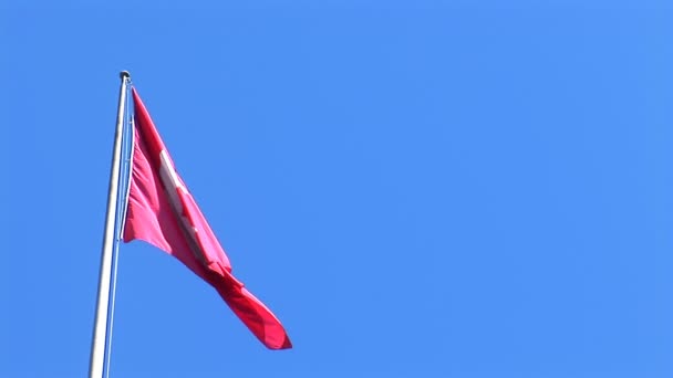Le drapeau suisse flotte contre un ciel bleu — Video