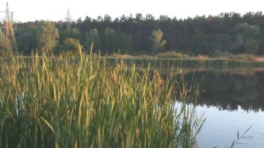 el muro de los lamentos, el sector femenino