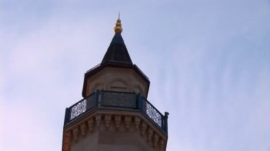 Cami kyiv