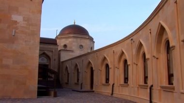 Cami kyiv