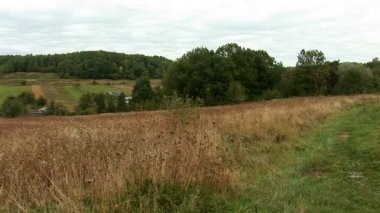 Karpatlar eteklerinde