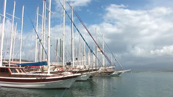 Yates en la bahía — Vídeo de stock