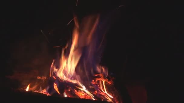 Fuego de campamento — Vídeo de stock