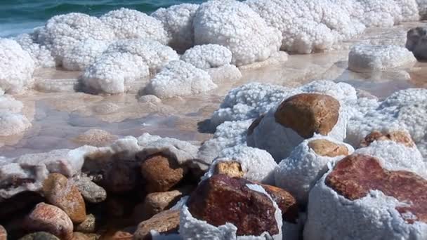 Мертвое море — стоковое видео