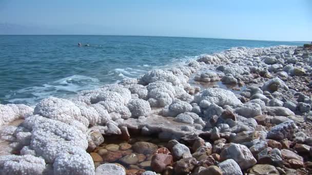 死海 — 图库视频影像