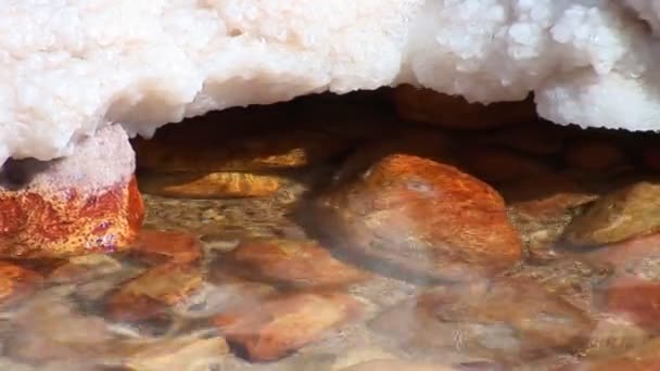 Мертвое море — стоковое видео