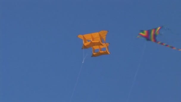 Kite flying in the sky — Stock Video