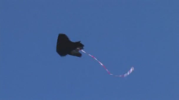 Kite flying in the sky — Stock Video