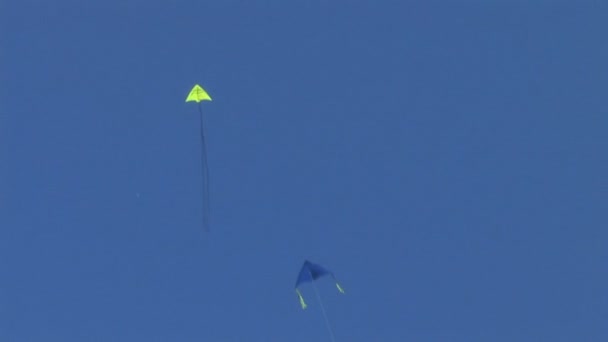 Kite flying in the sky — Stock Video