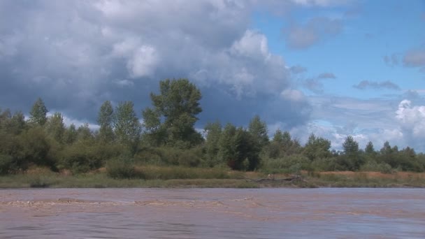 Çamurlu nehir — Stok video