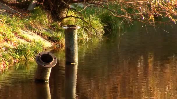 Activa la tubería en el estanque — Vídeo de stock