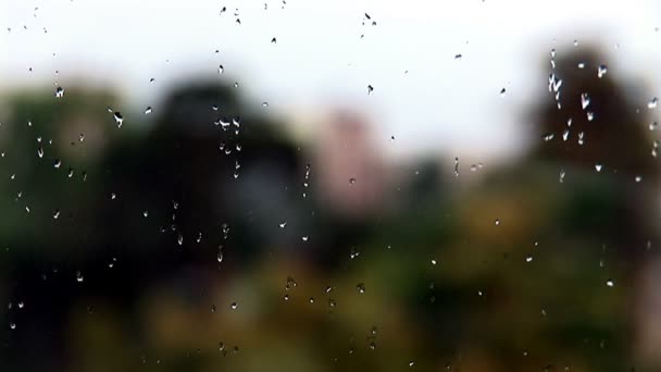 Yağmur damlaları cama düşer — Stok video