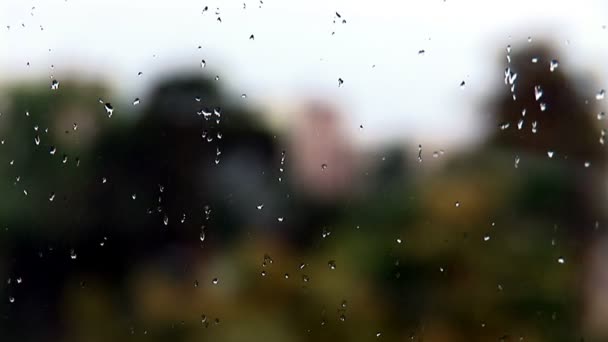 Gotas de lluvia sobre vidrio — Vídeos de Stock