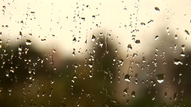 Gotas de lluvia sobre vidrio — Vídeos de Stock