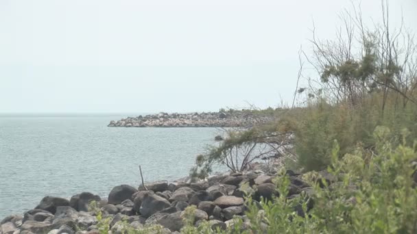 Галилейское море — стоковое видео