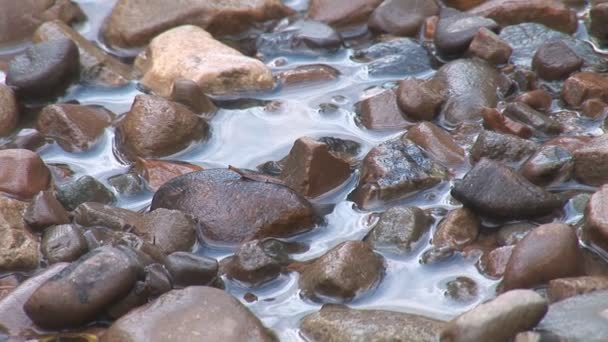 Piedras redondas húmedas — Vídeo de stock