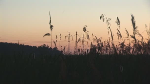 Linha de energia do pôr do sol — Vídeo de Stock