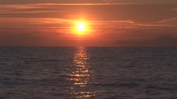 Mare del tramonto — Video Stock