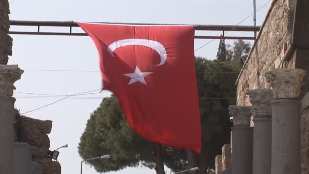 Turkse vlag — Stockvideo