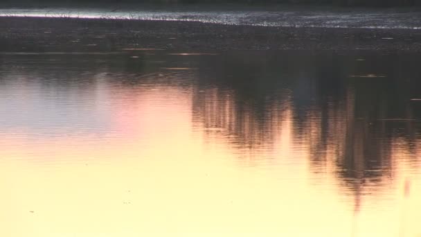 Oppervlakte van het water bij zonsondergang — Stockvideo