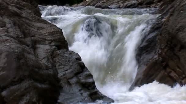 Cascadas — Vídeos de Stock