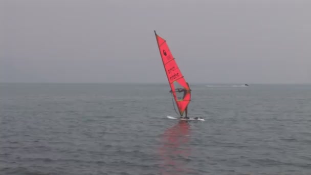 Windsurf — Vídeo de Stock