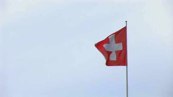 Swiss vlag — Stockvideo