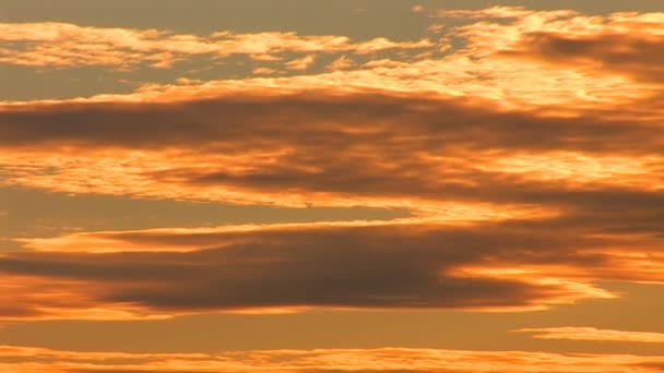 Zachód słońca nad Jeziorem Genewskim — Wideo stockowe