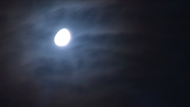 Noche Luna — Vídeos de Stock