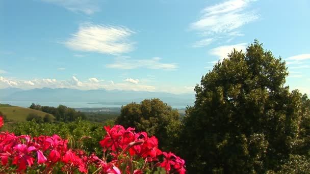 Mar bajo la puesta del sol y las nubes — Stok video