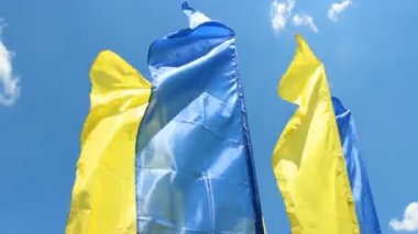 mavi ve sarı bayrak
