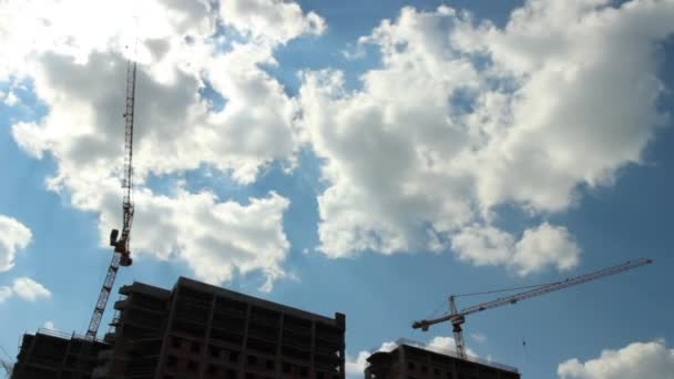 Tower cranes — Stock Video