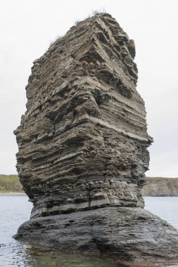 Deniz kıyısında yalnız bir kaya